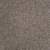 sample image of Prestige Carpets Antartica