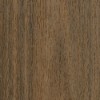 sample image of Northern Spotted Gum