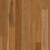 Spotted Gum image